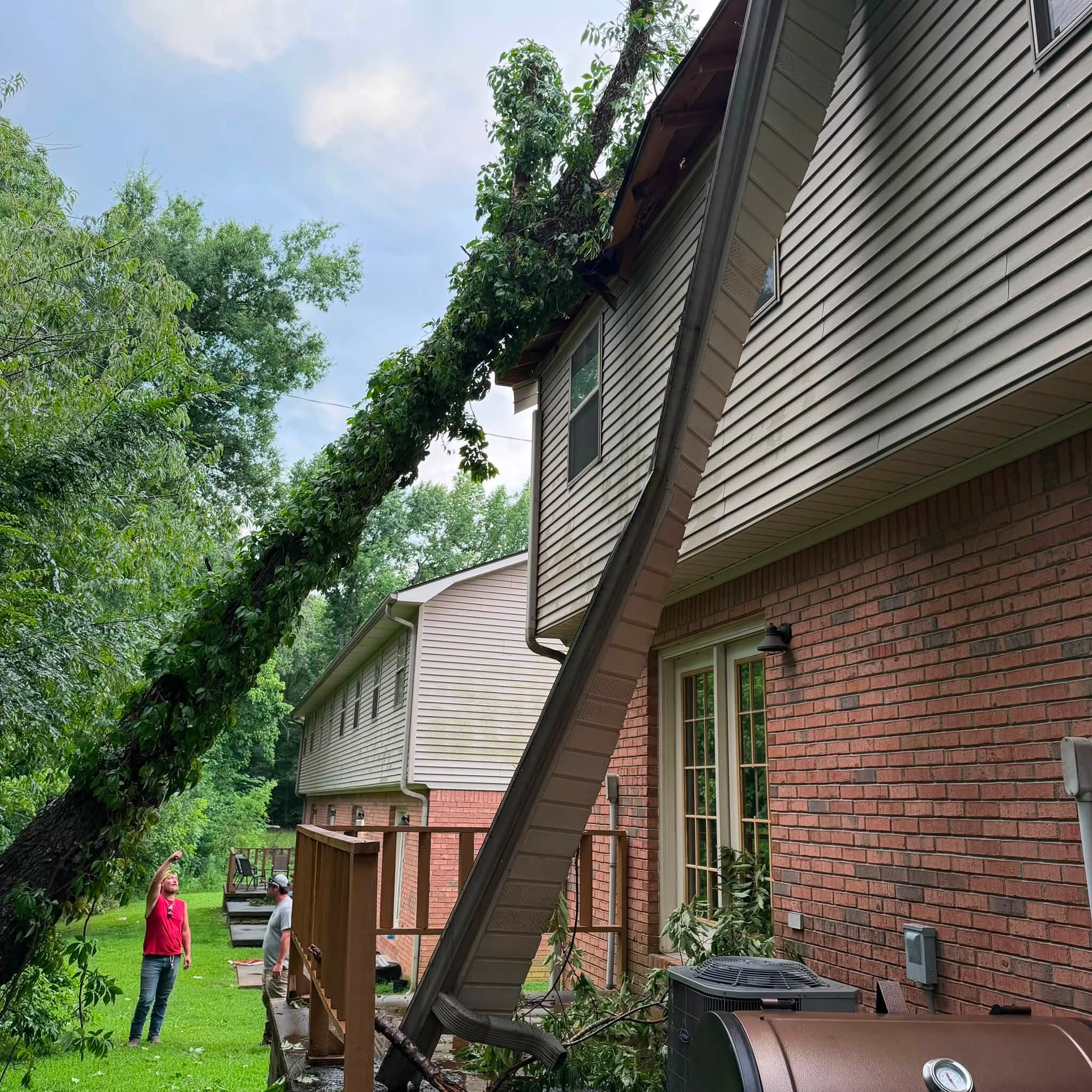 Tree removal and land management in Martin, TN Emergency tree removal from a Martin, TN home by 731 Land Management