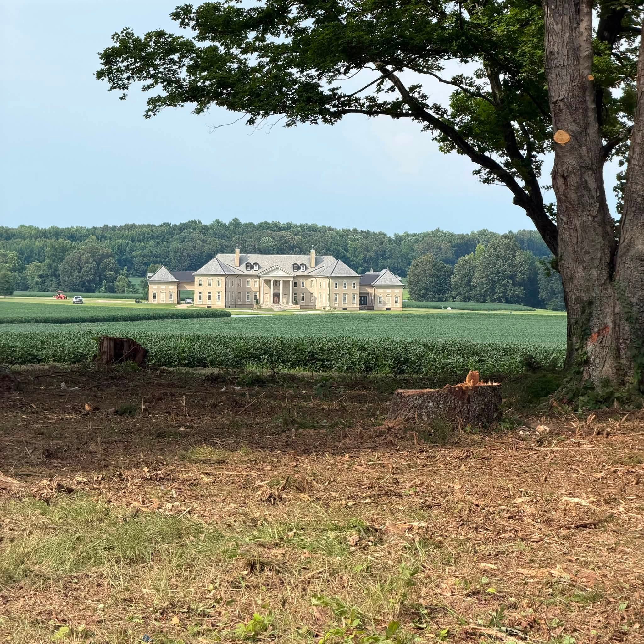 Tree service Martin, TN — 731 Land Management Land clearing and tree service project overlooking acreage in Martin, TN